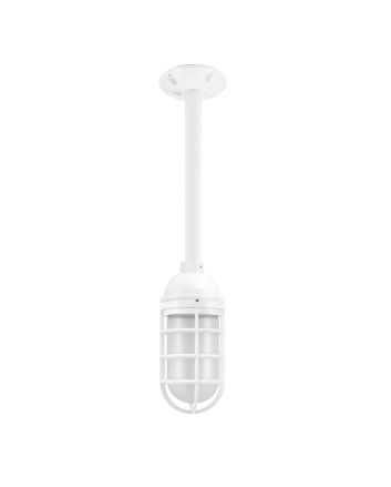 Industrial Guard LED Stem Pendant Light