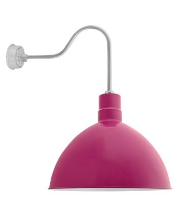 Wilcox LED Deep Bowl Gooseneck Light - 24