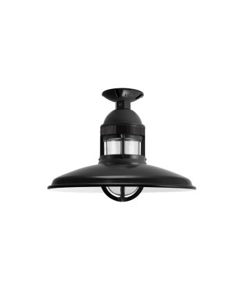 Brisbane Flush Mount Pendant Light