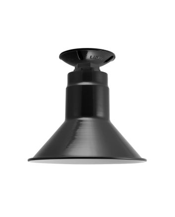 Canal Flush Mount Light