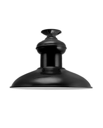 Chestnut Flush Mount Light
