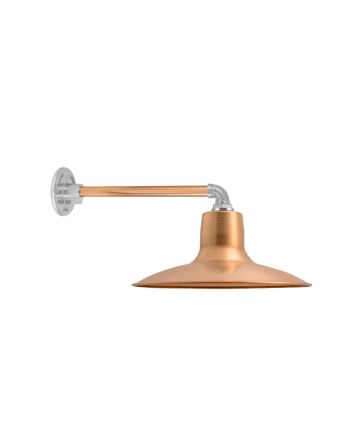 Dominion Gooseneck Light