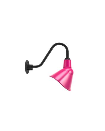 Elliptical Sign Light