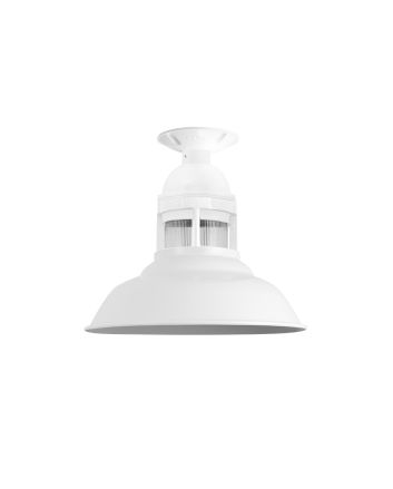 Outback Flush Mount Pendant Light