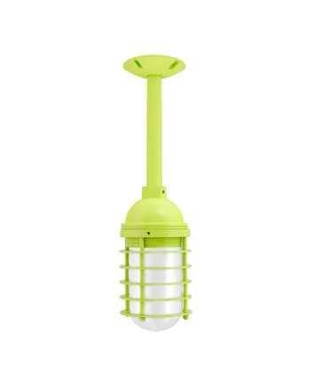 Static Ring Stem Pendant Light