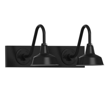 Austin Gooseneck Double Vanity Light