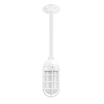 Industrial Guard LED Stem Pendant Light