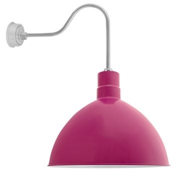 Wilcox LED Deep Bowl Gooseneck Light - 24