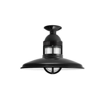 Brisbane Flush Mount Pendant Light