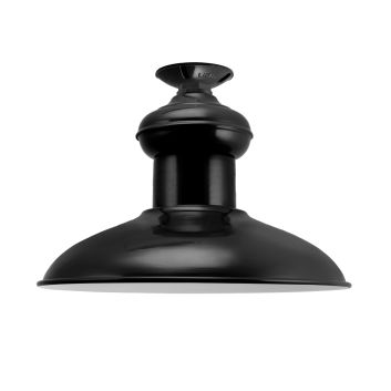 Chestnut Flush Mount Light