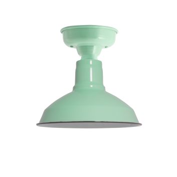 Dino LED Flush Mount Light