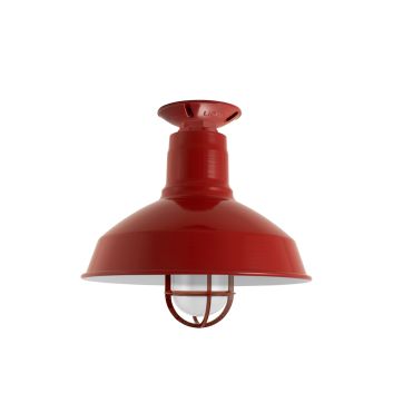 Dino Flush Mount Light