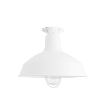 Dino Nautical LED Flush Mount Light