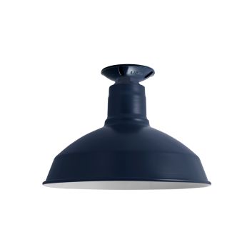 Dino Flush Mount Light