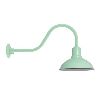Dino Gooseneck Light