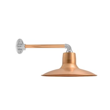 Dominion Gooseneck Light