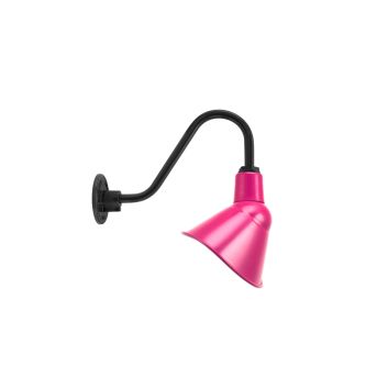 Elliptical Sign Light