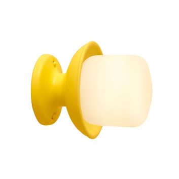 Kao Wall Mount Light