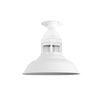 Outback Flush Mount Pendant Light