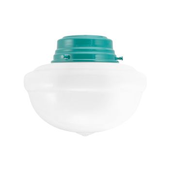 Acorn Schoolhouse Flush Mount Light
