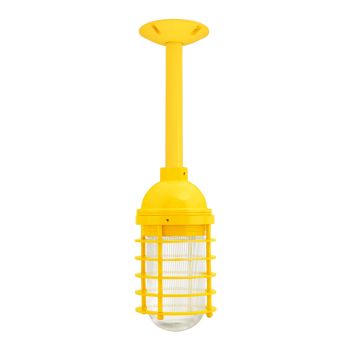 Static Ring LED Stem Pendant Light