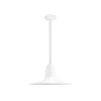 Sterling Stem Pendant Light