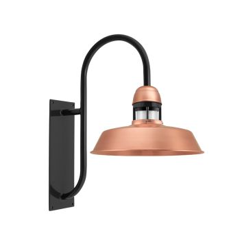 Sydney Gooseneck Light